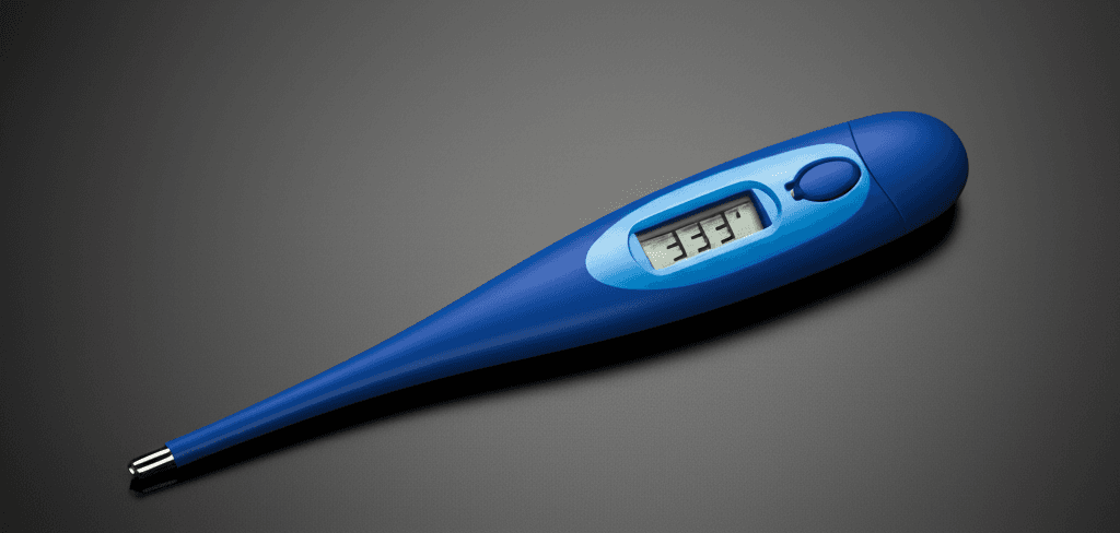 Digitalni Toplomer - slika 1